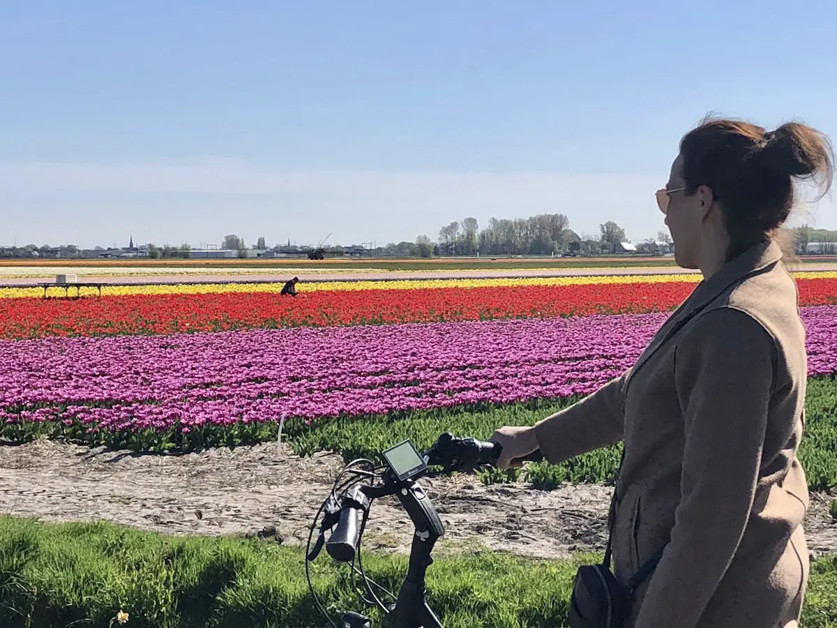 flower fields the netherlands