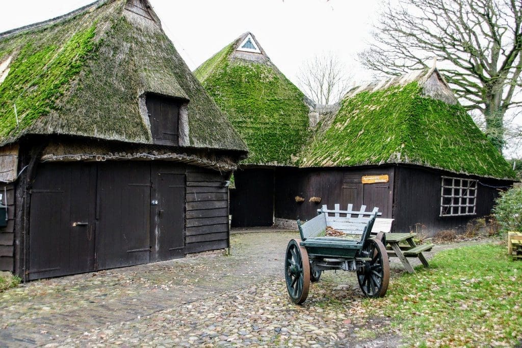 the netherlands farms city