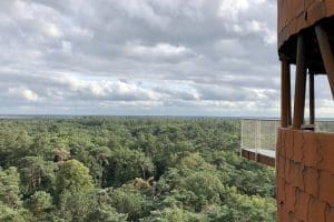 bosbergtoren drents friese wold