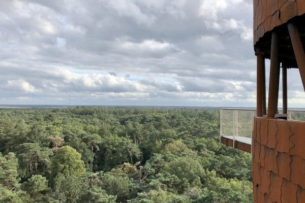 bosbergtoren drents friese wold