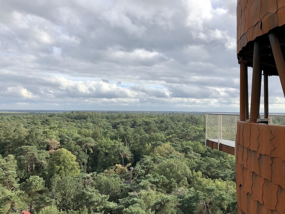 bosbergtoren drents friese wold