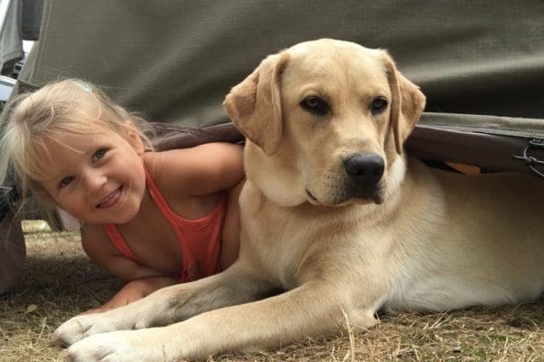 hond mee vakantie