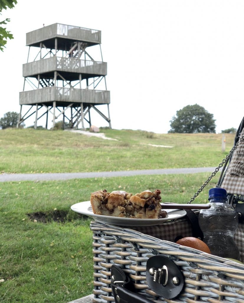 uitkijktoren drents friese wold