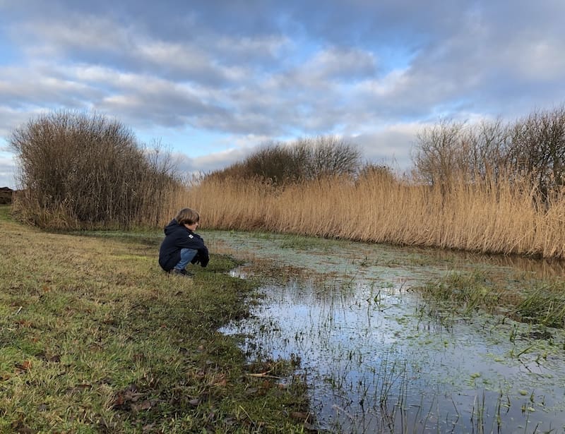 winter texel