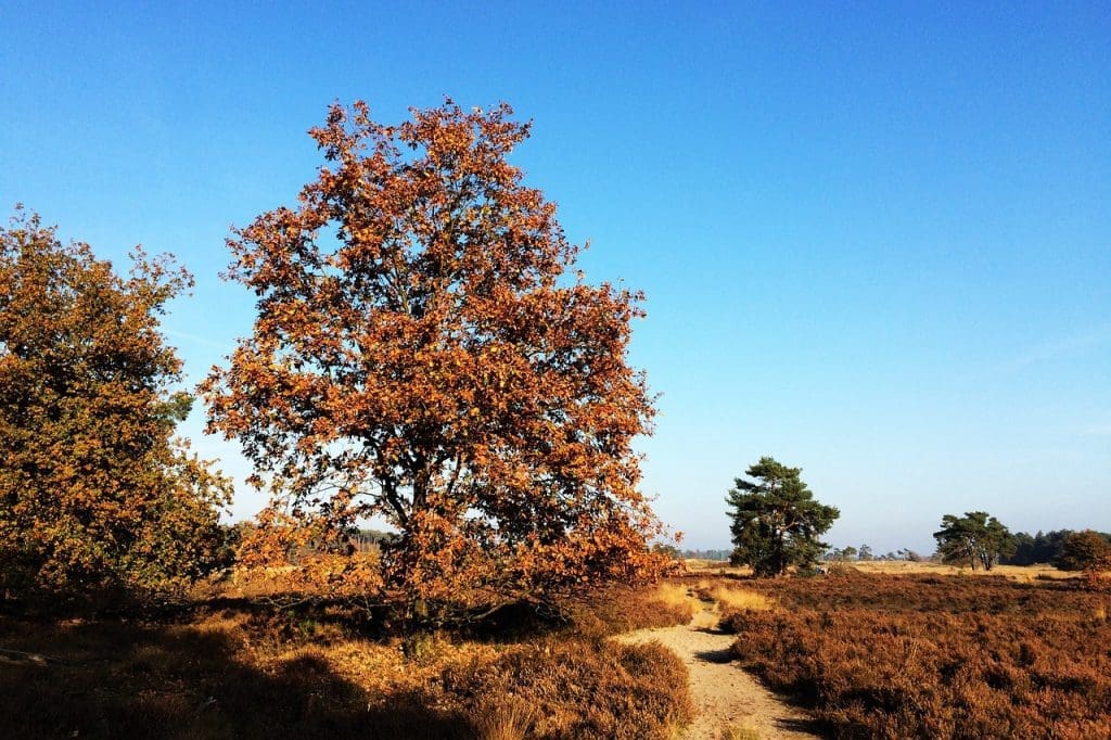 hidden gem the netherlands