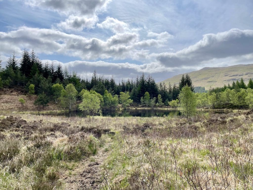 West Highland Way 