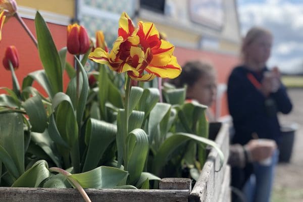 visit The Netherlands