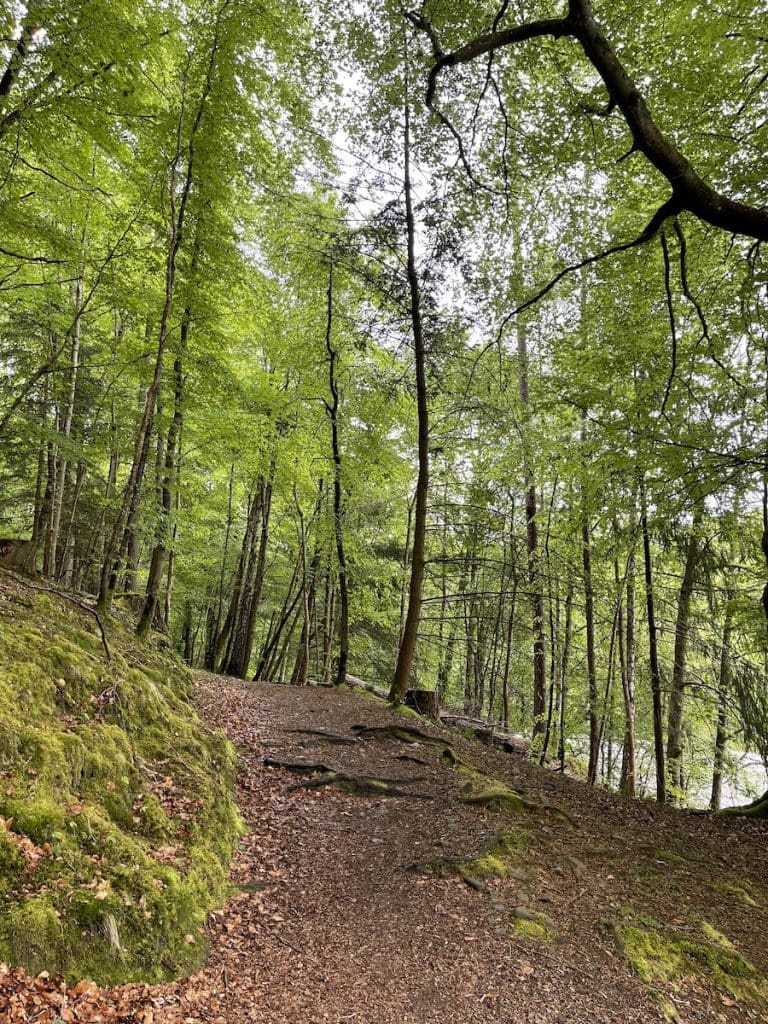 killiecrankie soldiers leap