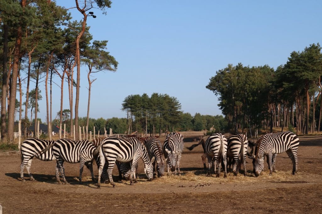 BIJZONDER WEEKENDJE WEG